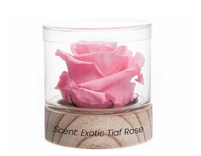 natural-fragrance-rose-elizabeth