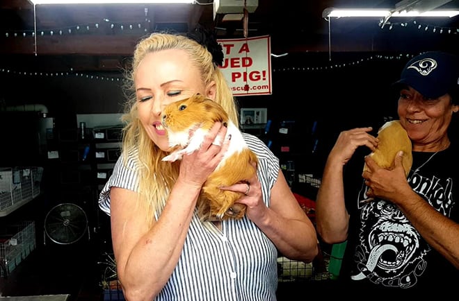 saskia-chiesa-guinea-pig-rescue-saskia-with-guinea-pigs-viva-glam-magazine
