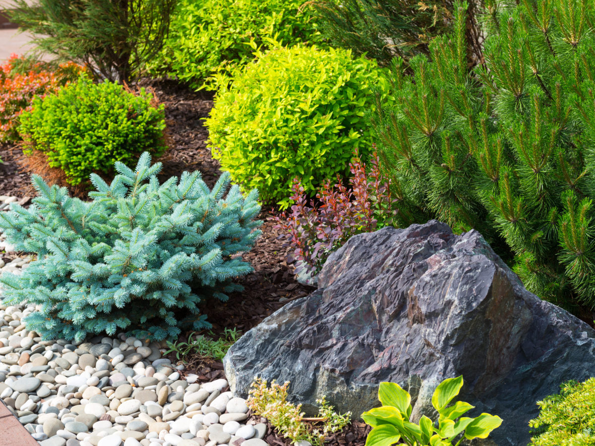 Angular boulders next to landscaped plants