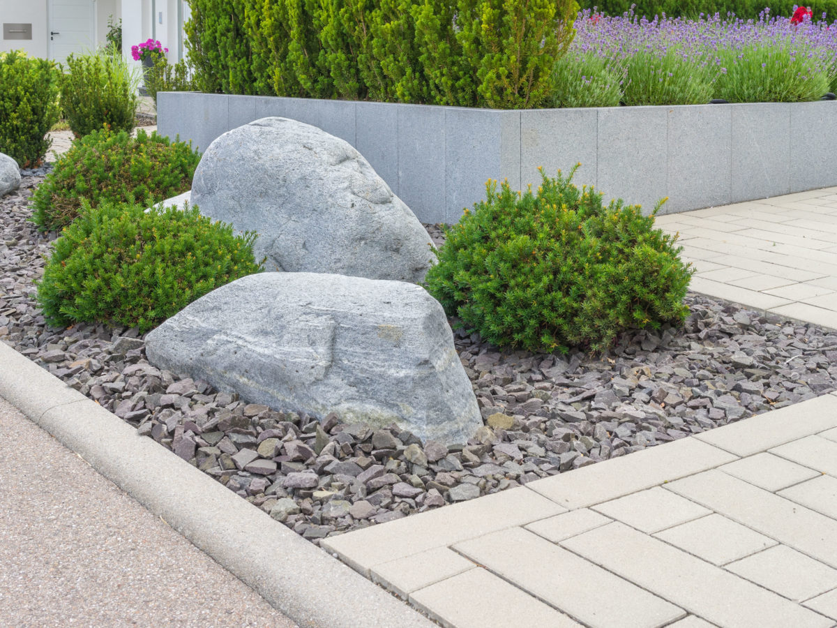 boulders buried halfway in rocks