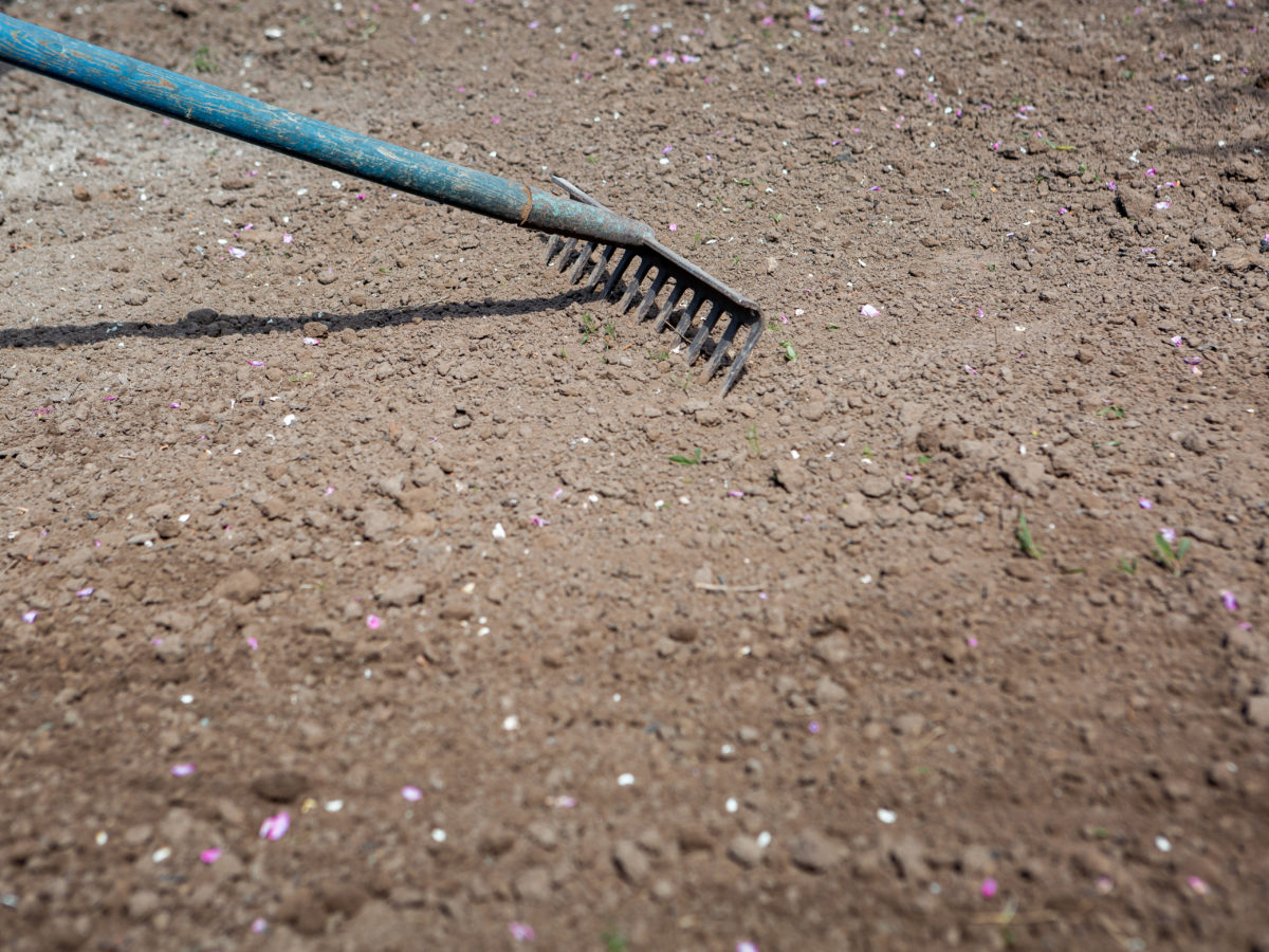 Grading soil for custom bocce ball court