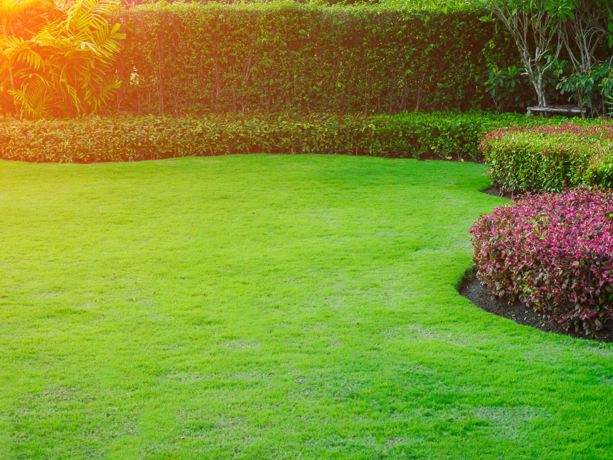 choosing site for bocce ball court