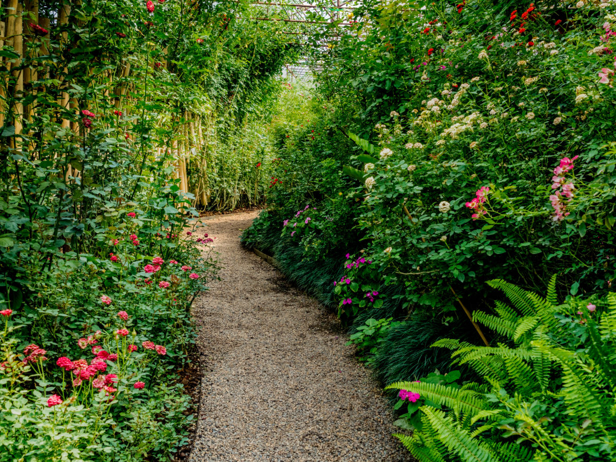 Decomposed granite pathway surrounded by plants
