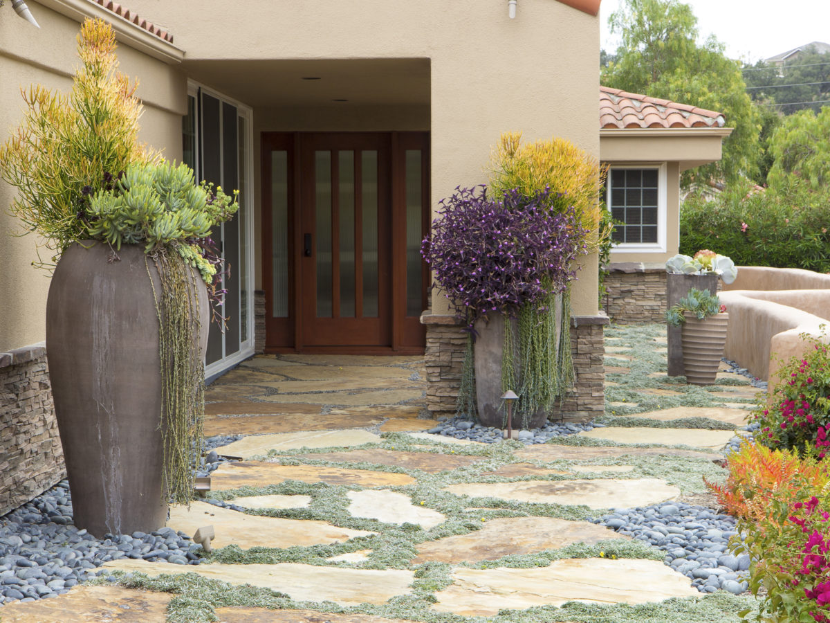 Succulent garden pots with beach pebble