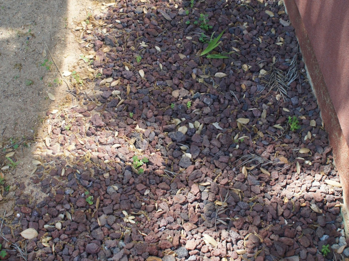 Red lava cinder border in mosaic rock garden