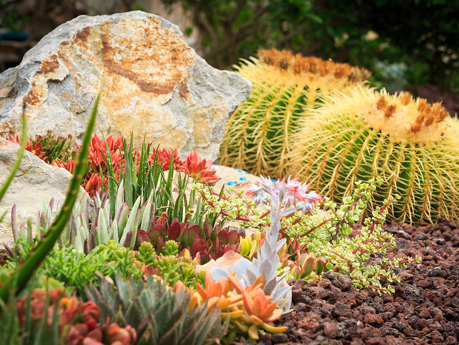 Lava rock and crushed rock for your succulent garden
