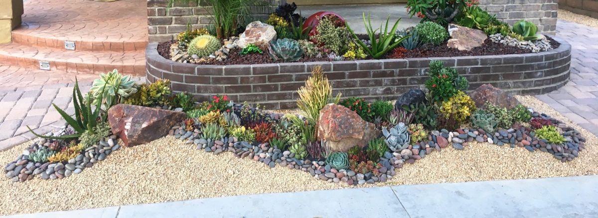Rock succulent garden with pebbles and crushed rock