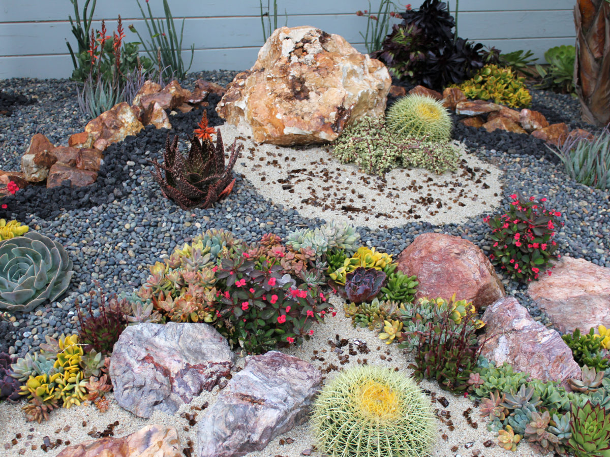 Boulders and crushed rock in succulent garden