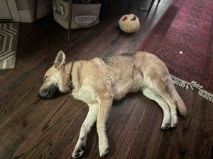Riley exhausted asleep